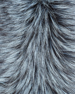 Lapel Cross-Through Collar in Iced Topaz