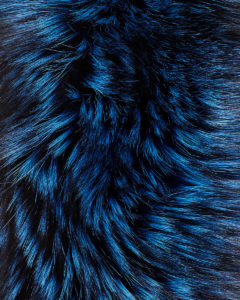 Lapel Cross-Through Collar in Sapphire