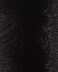 Circle Standup Collar Black Fox