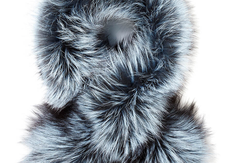 Lapel Cross-Through Collar in Iced Topaz