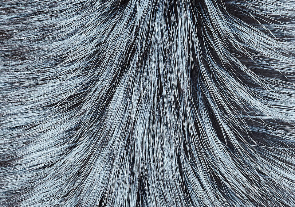 Lapel Cross-Through Collar in Iced Topaz