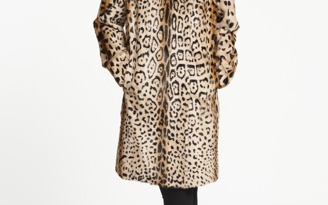 High Collared Leopard Print Coat