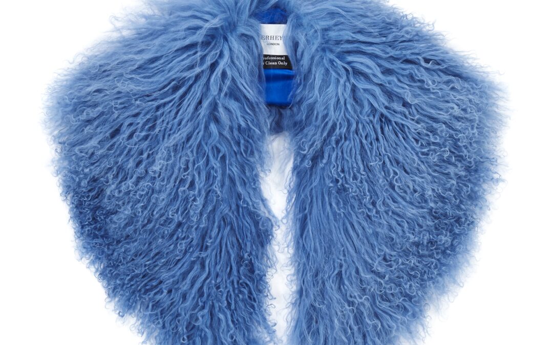 Mongolian Lamb Shawl Collar  Cornflower Topaz