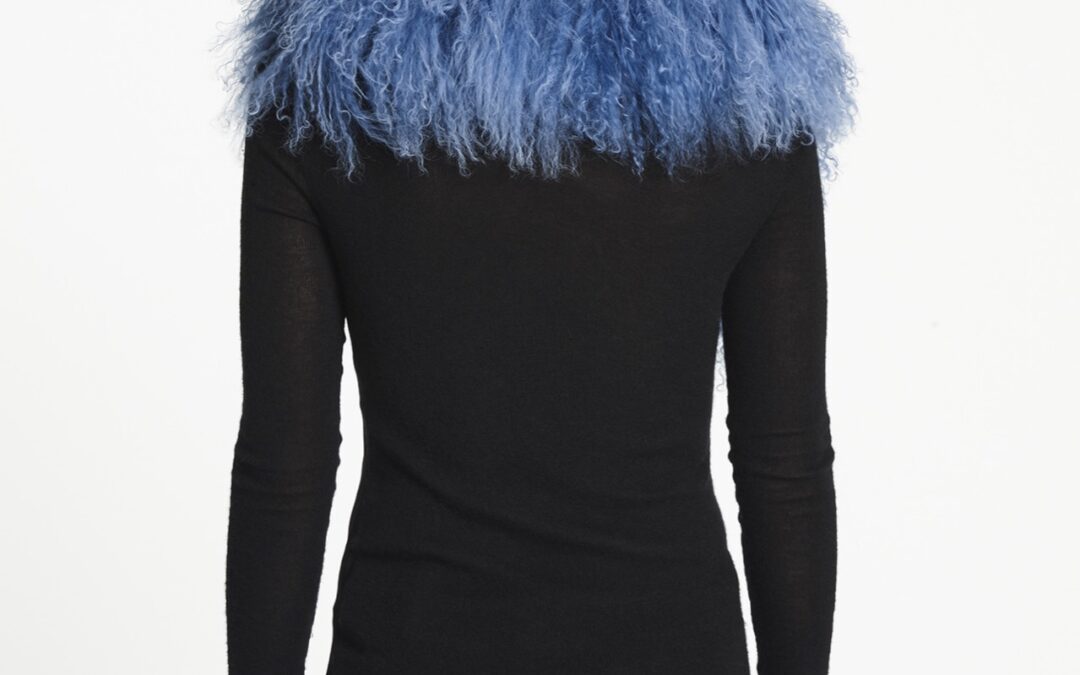 Mongolian Lamb Shawl Collar  Cornflower Topaz