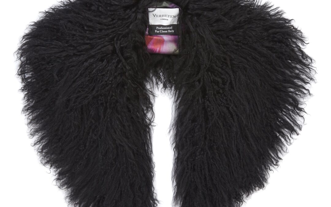 Mongolian Lamb Shawl Collar Black