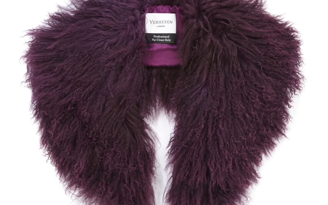 Mongolian Lamb Shawl Collar Garnet